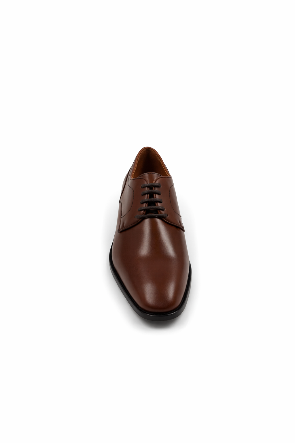 LIVO 169