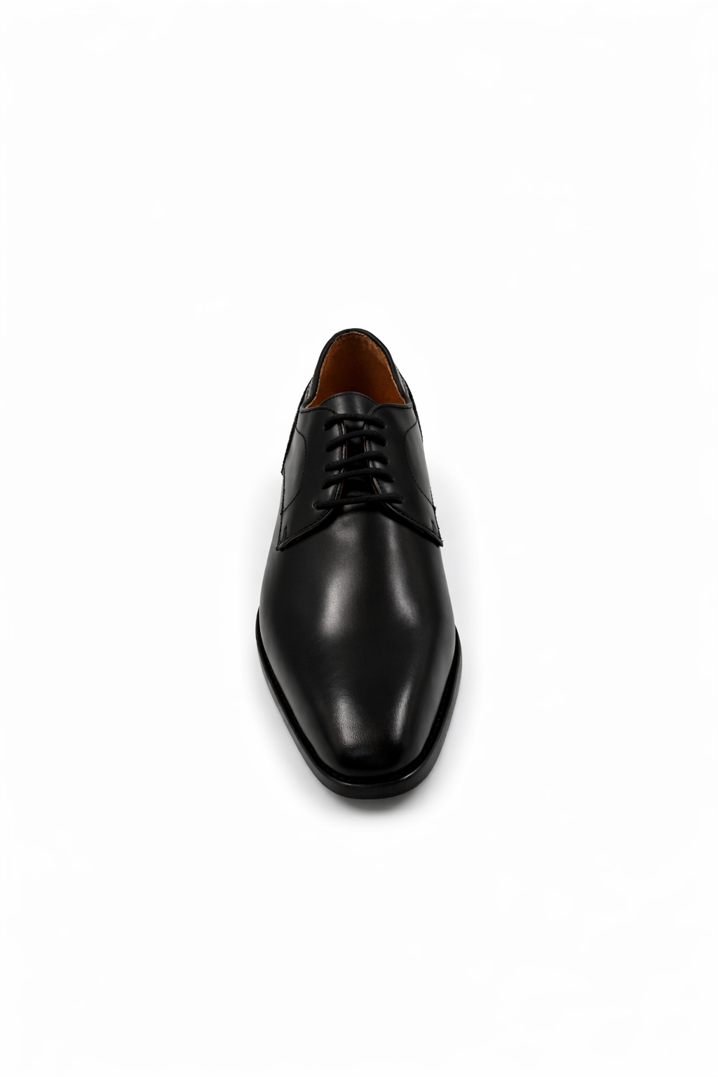 LIVO 169