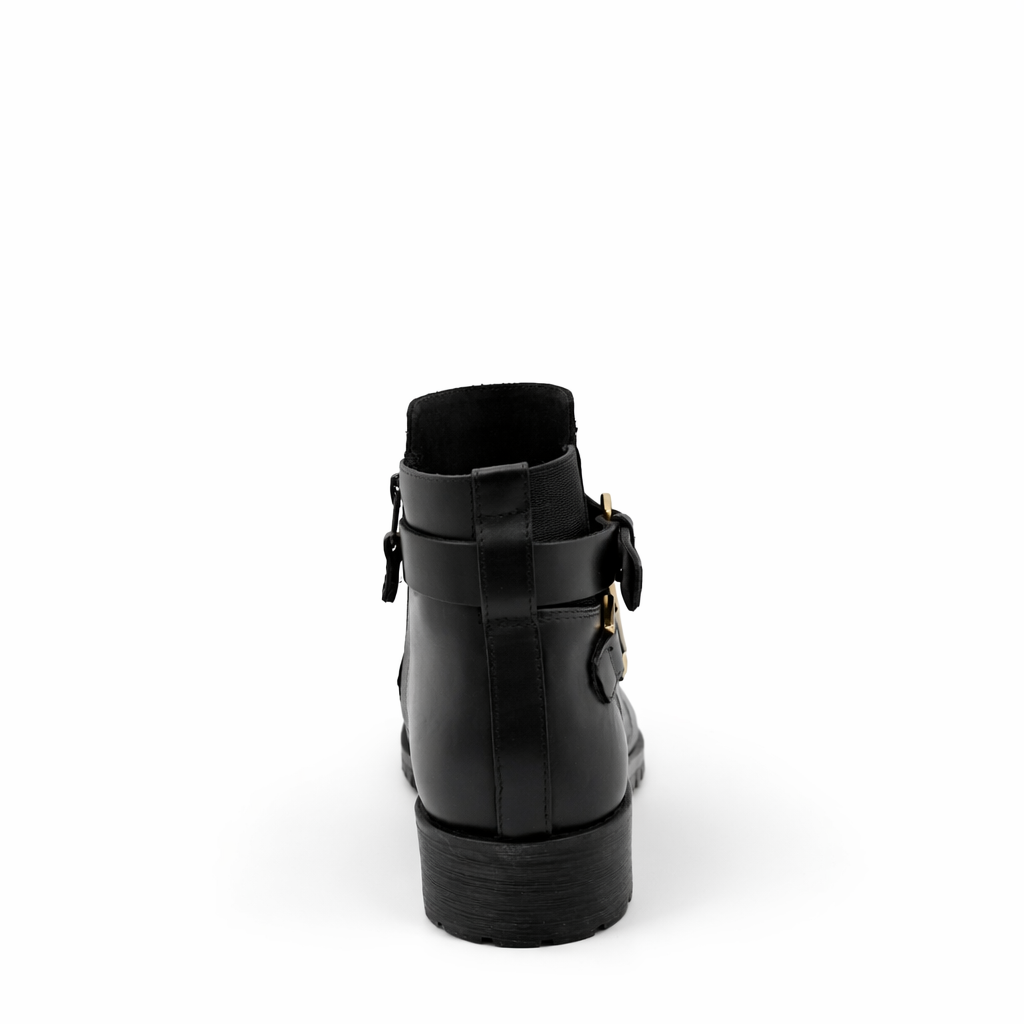 ANTEO 02